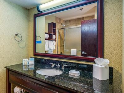 Hampton Johnson 3* Johnson City